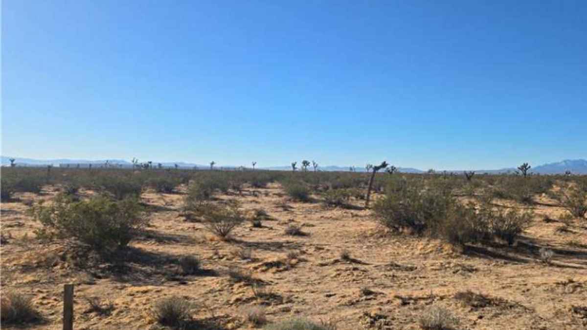 Commercial-Land-for-sell-Adelanto-2.5-Acre