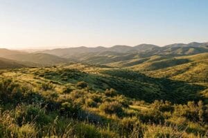 Rolling green-gold hills covered in sage scrub at golden hour in western Riverside County